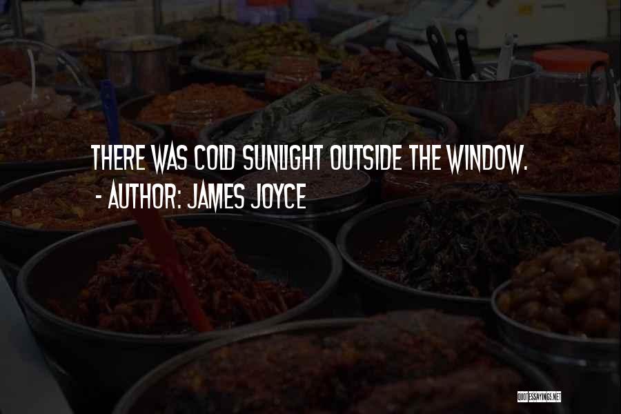James Joyce Quotes: There Was Cold Sunlight Outside The Window.