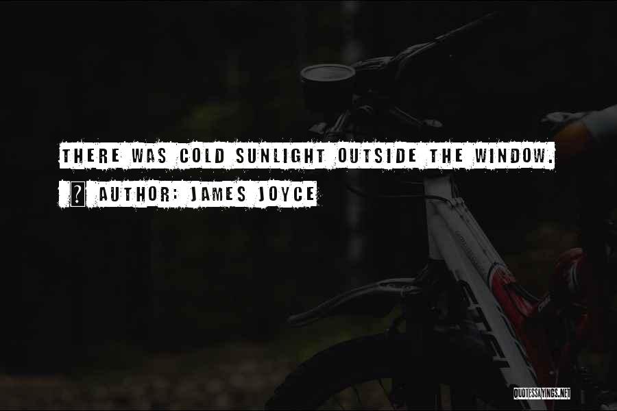 James Joyce Quotes: There Was Cold Sunlight Outside The Window.