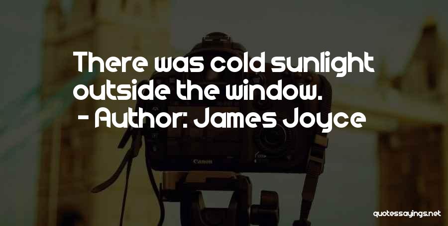 James Joyce Quotes: There Was Cold Sunlight Outside The Window.