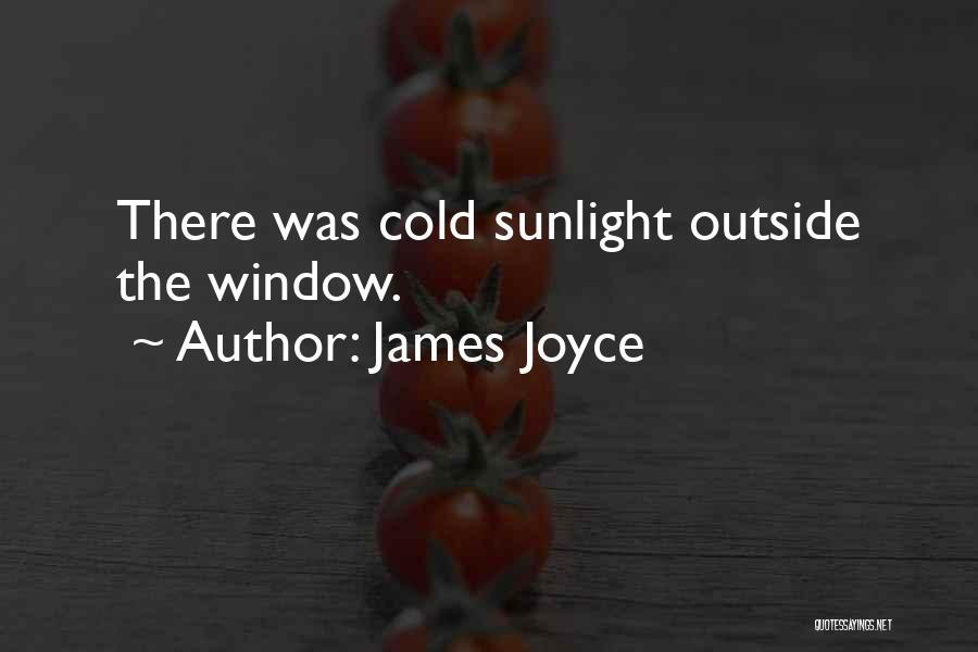 James Joyce Quotes: There Was Cold Sunlight Outside The Window.