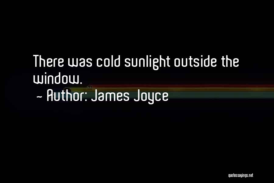 James Joyce Quotes: There Was Cold Sunlight Outside The Window.