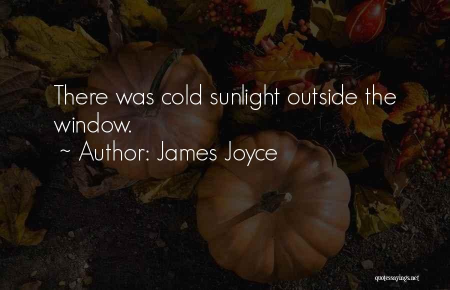 James Joyce Quotes: There Was Cold Sunlight Outside The Window.