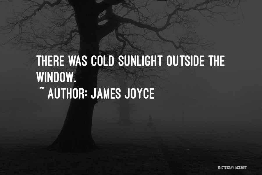 James Joyce Quotes: There Was Cold Sunlight Outside The Window.