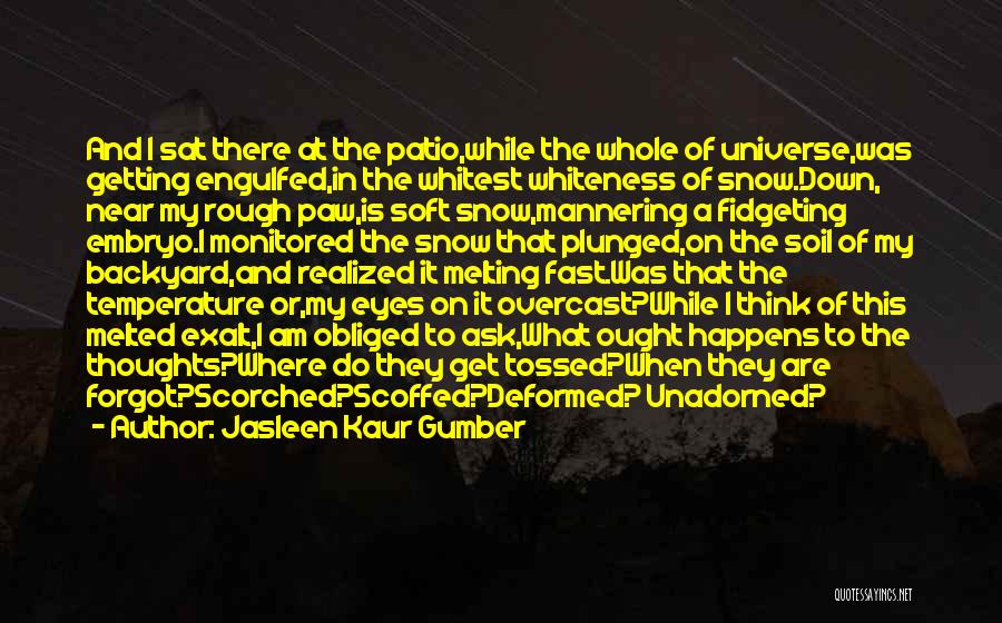 Jasleen Kaur Gumber Quotes: And I Sat There At The Patio,while The Whole Of Universe,was Getting Engulfed,in The Whitest Whiteness Of Snow.down, Near My