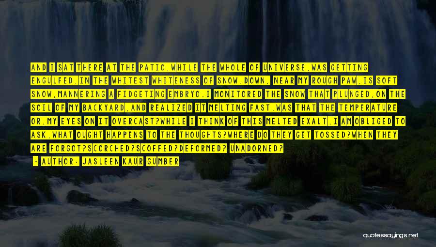 Jasleen Kaur Gumber Quotes: And I Sat There At The Patio,while The Whole Of Universe,was Getting Engulfed,in The Whitest Whiteness Of Snow.down, Near My