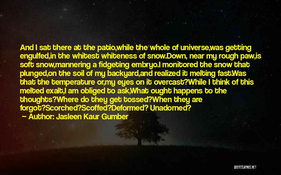 Jasleen Kaur Gumber Quotes: And I Sat There At The Patio,while The Whole Of Universe,was Getting Engulfed,in The Whitest Whiteness Of Snow.down, Near My