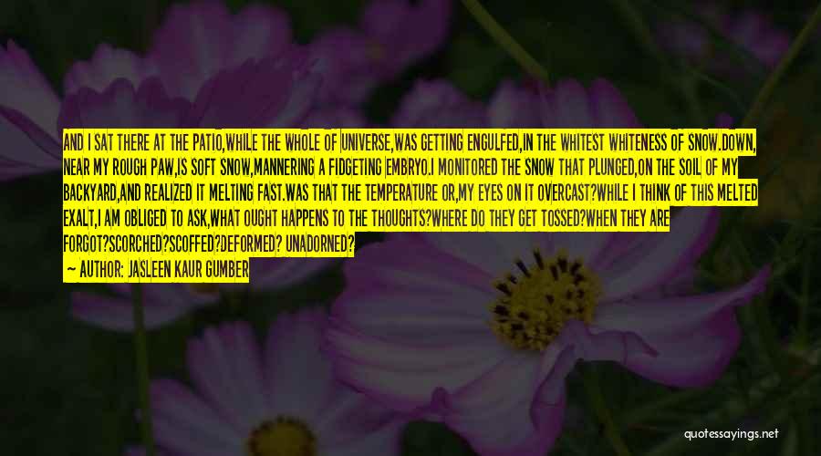 Jasleen Kaur Gumber Quotes: And I Sat There At The Patio,while The Whole Of Universe,was Getting Engulfed,in The Whitest Whiteness Of Snow.down, Near My