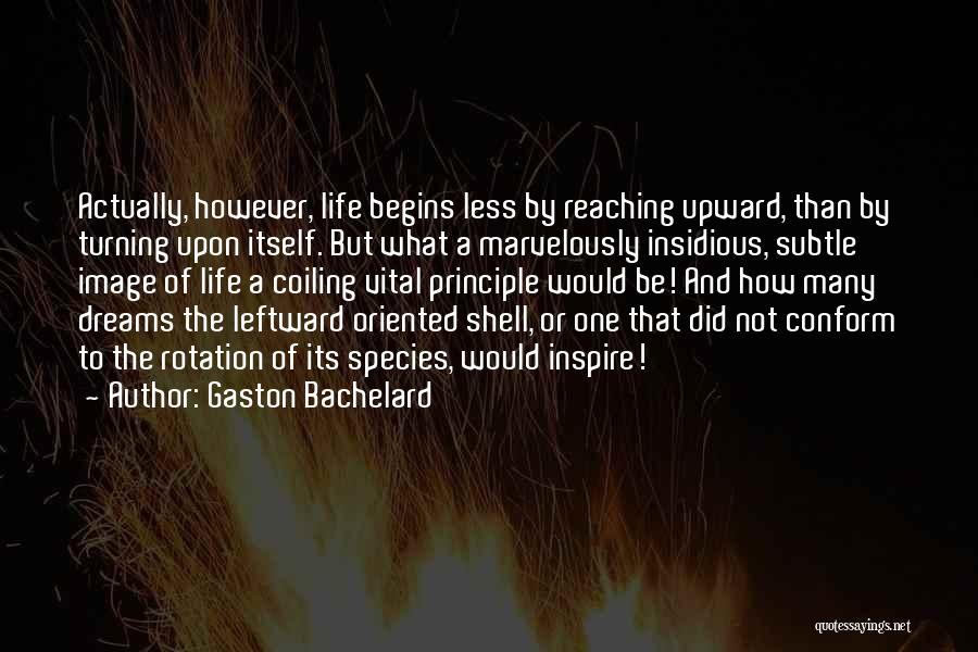 Gaston Bachelard Quotes: Actually, However, Life Begins Less By Reaching Upward, Than By Turning Upon Itself. But What A Marvelously Insidious, Subtle Image