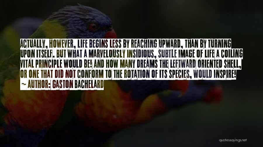Gaston Bachelard Quotes: Actually, However, Life Begins Less By Reaching Upward, Than By Turning Upon Itself. But What A Marvelously Insidious, Subtle Image