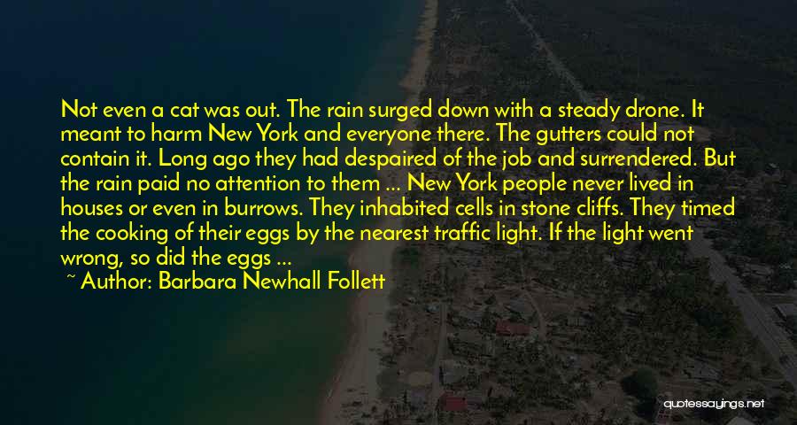 Barbara Newhall Follett Quotes: Not Even A Cat Was Out. The Rain Surged Down With A Steady Drone. It Meant To Harm New York