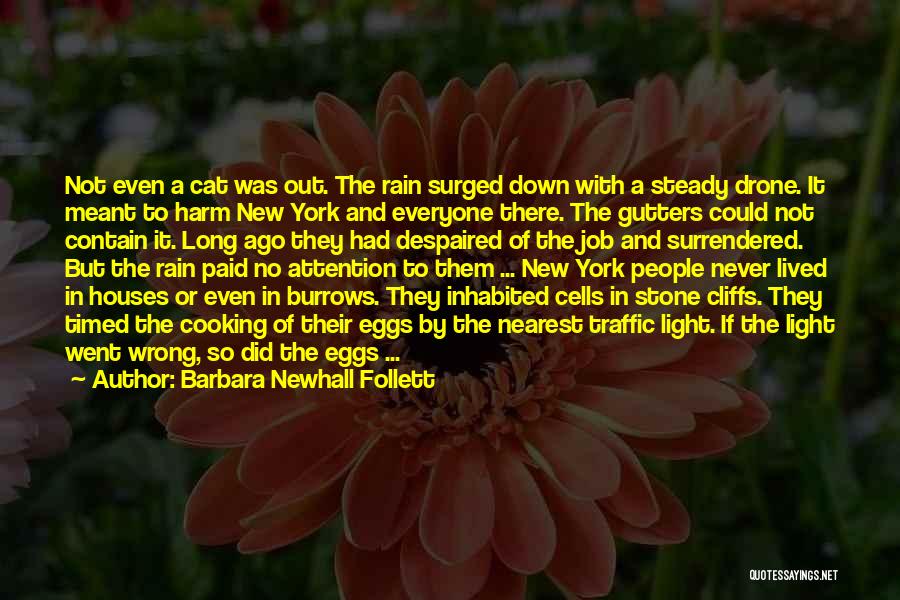 Barbara Newhall Follett Quotes: Not Even A Cat Was Out. The Rain Surged Down With A Steady Drone. It Meant To Harm New York