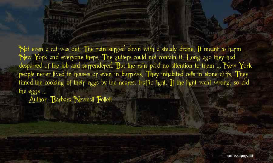 Barbara Newhall Follett Quotes: Not Even A Cat Was Out. The Rain Surged Down With A Steady Drone. It Meant To Harm New York