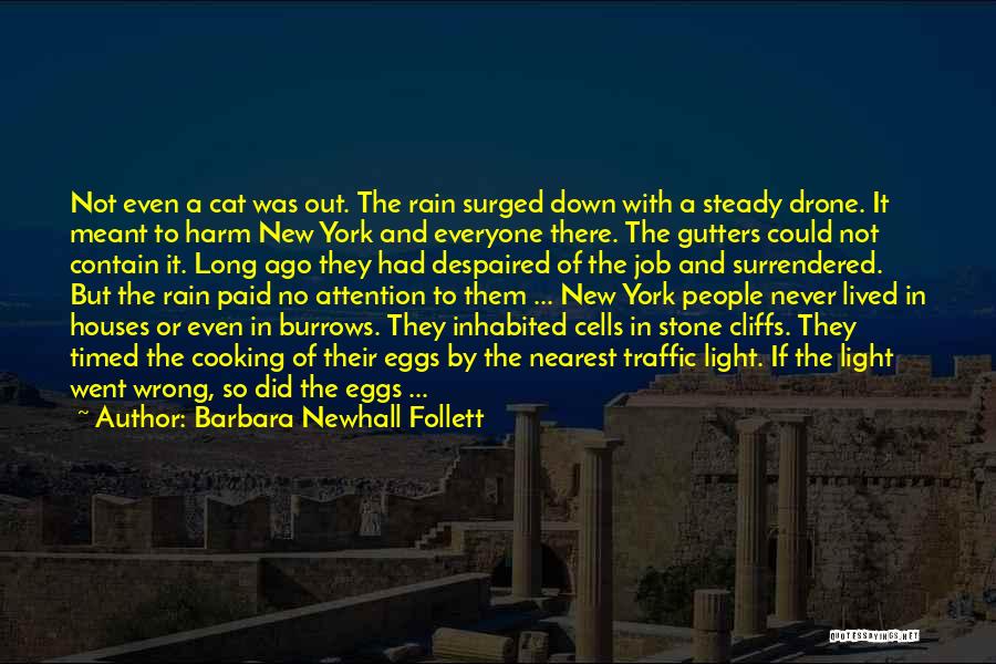 Barbara Newhall Follett Quotes: Not Even A Cat Was Out. The Rain Surged Down With A Steady Drone. It Meant To Harm New York