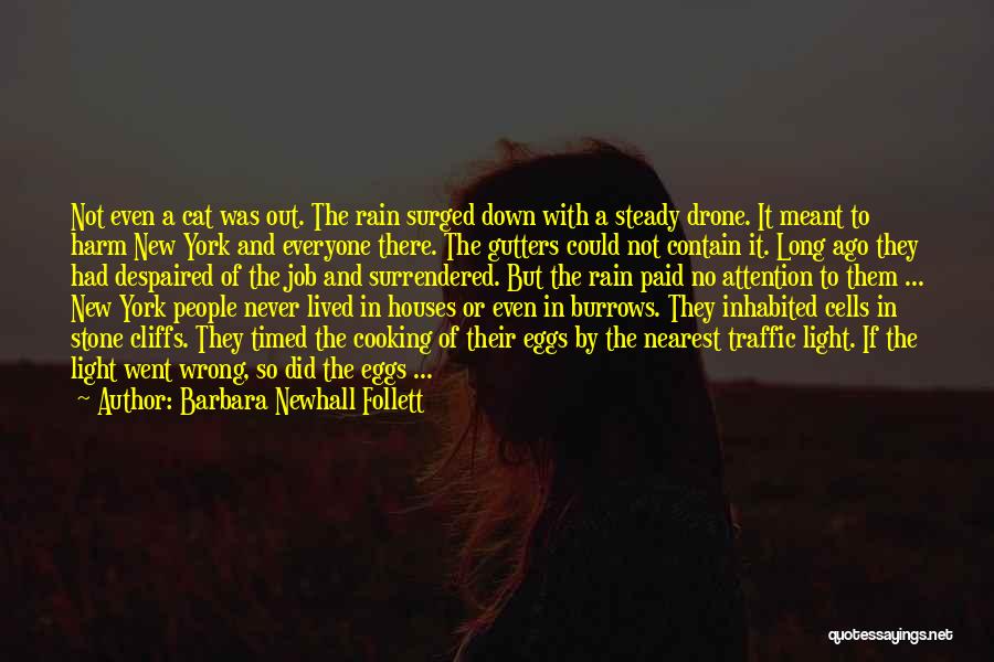 Barbara Newhall Follett Quotes: Not Even A Cat Was Out. The Rain Surged Down With A Steady Drone. It Meant To Harm New York