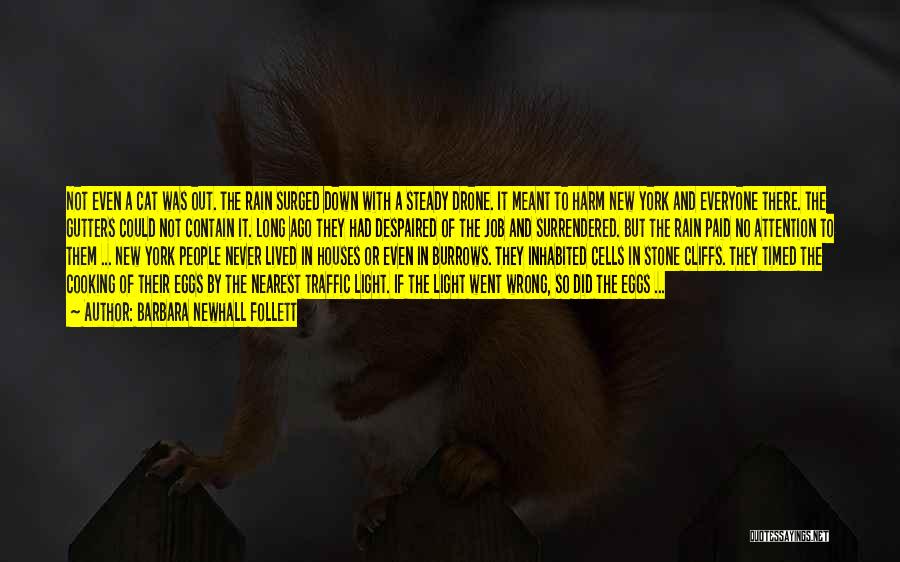 Barbara Newhall Follett Quotes: Not Even A Cat Was Out. The Rain Surged Down With A Steady Drone. It Meant To Harm New York