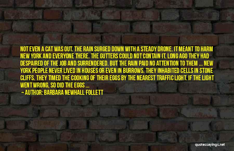 Barbara Newhall Follett Quotes: Not Even A Cat Was Out. The Rain Surged Down With A Steady Drone. It Meant To Harm New York