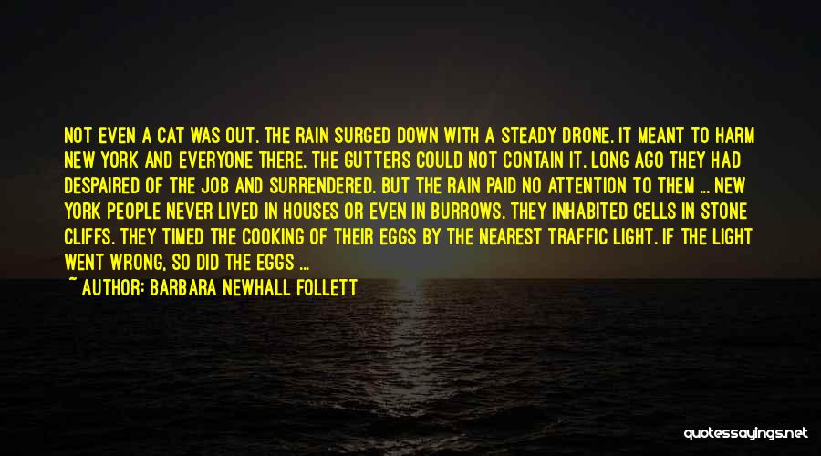 Barbara Newhall Follett Quotes: Not Even A Cat Was Out. The Rain Surged Down With A Steady Drone. It Meant To Harm New York