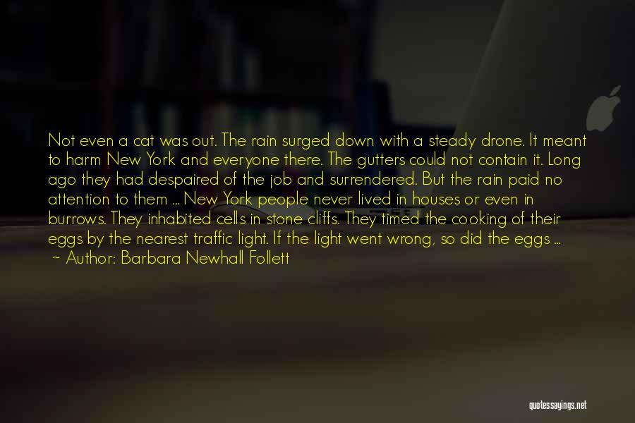 Barbara Newhall Follett Quotes: Not Even A Cat Was Out. The Rain Surged Down With A Steady Drone. It Meant To Harm New York