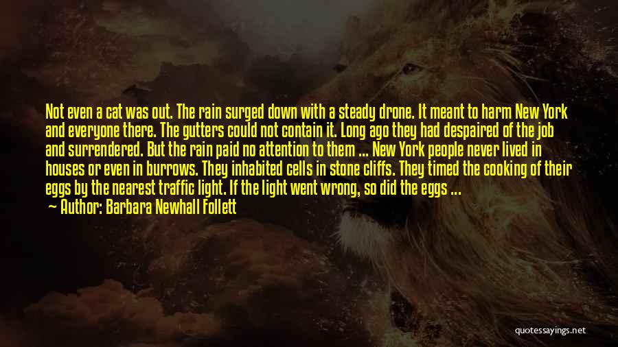 Barbara Newhall Follett Quotes: Not Even A Cat Was Out. The Rain Surged Down With A Steady Drone. It Meant To Harm New York