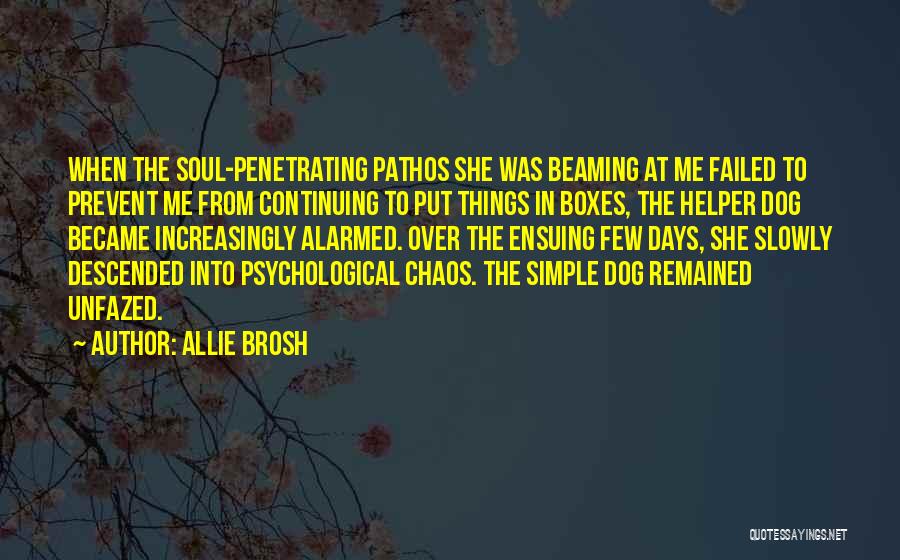 Allie Brosh Quotes: When The Soul-penetrating Pathos She Was Beaming At Me Failed To Prevent Me From Continuing To Put Things In Boxes,