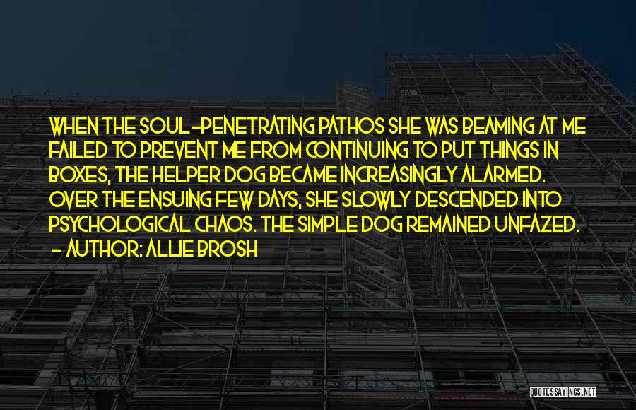 Allie Brosh Quotes: When The Soul-penetrating Pathos She Was Beaming At Me Failed To Prevent Me From Continuing To Put Things In Boxes,
