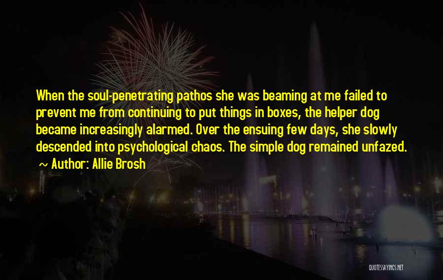 Allie Brosh Quotes: When The Soul-penetrating Pathos She Was Beaming At Me Failed To Prevent Me From Continuing To Put Things In Boxes,
