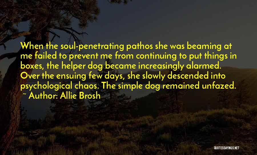 Allie Brosh Quotes: When The Soul-penetrating Pathos She Was Beaming At Me Failed To Prevent Me From Continuing To Put Things In Boxes,