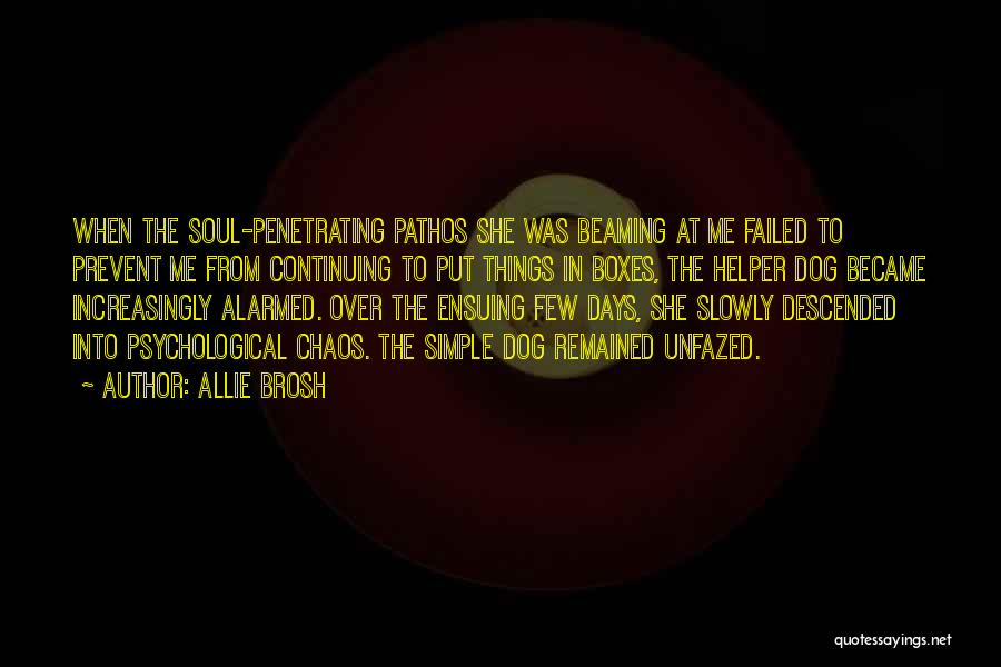 Allie Brosh Quotes: When The Soul-penetrating Pathos She Was Beaming At Me Failed To Prevent Me From Continuing To Put Things In Boxes,