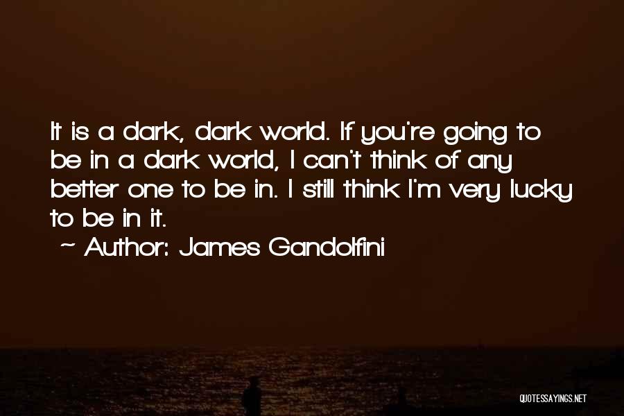 James Gandolfini Quotes: It Is A Dark, Dark World. If You're Going To Be In A Dark World, I Can't Think Of Any