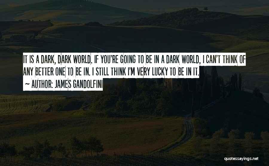 James Gandolfini Quotes: It Is A Dark, Dark World. If You're Going To Be In A Dark World, I Can't Think Of Any