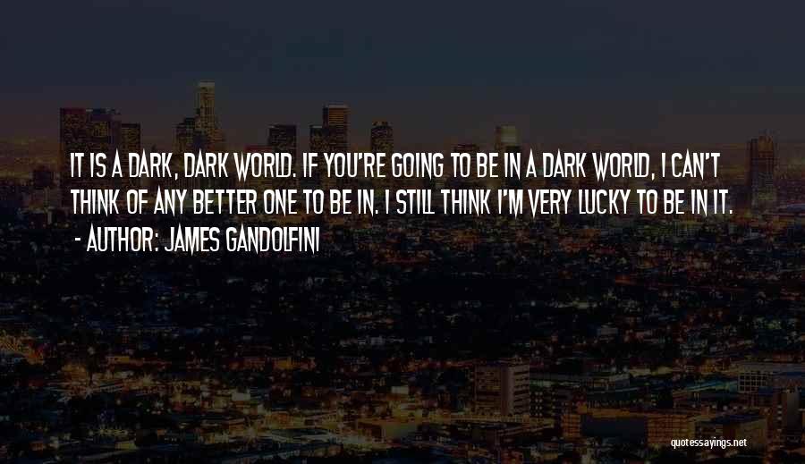 James Gandolfini Quotes: It Is A Dark, Dark World. If You're Going To Be In A Dark World, I Can't Think Of Any