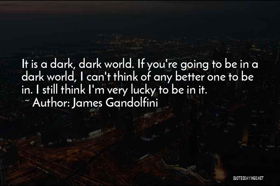 James Gandolfini Quotes: It Is A Dark, Dark World. If You're Going To Be In A Dark World, I Can't Think Of Any