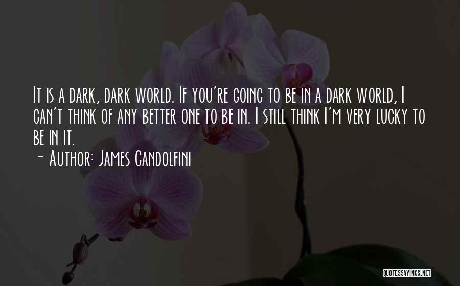 James Gandolfini Quotes: It Is A Dark, Dark World. If You're Going To Be In A Dark World, I Can't Think Of Any