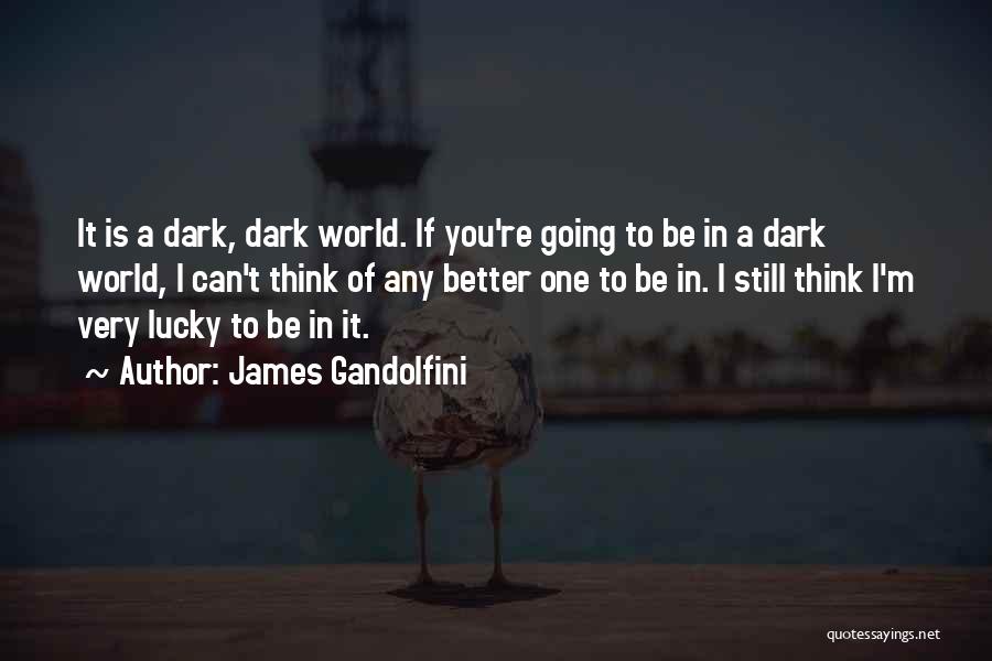 James Gandolfini Quotes: It Is A Dark, Dark World. If You're Going To Be In A Dark World, I Can't Think Of Any