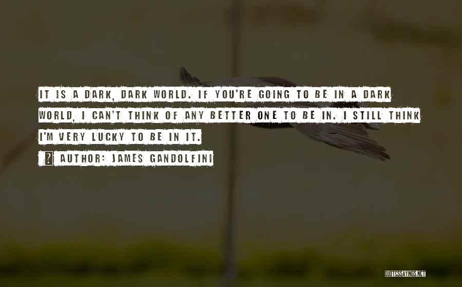 James Gandolfini Quotes: It Is A Dark, Dark World. If You're Going To Be In A Dark World, I Can't Think Of Any