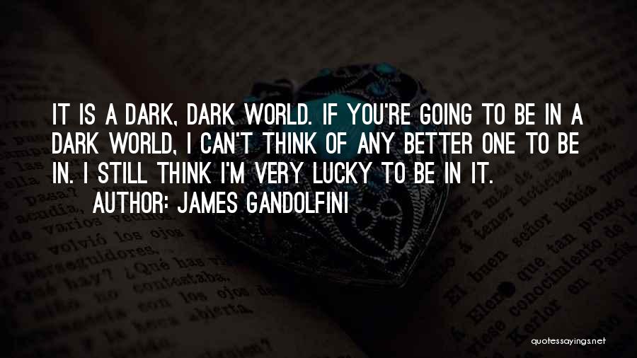 James Gandolfini Quotes: It Is A Dark, Dark World. If You're Going To Be In A Dark World, I Can't Think Of Any