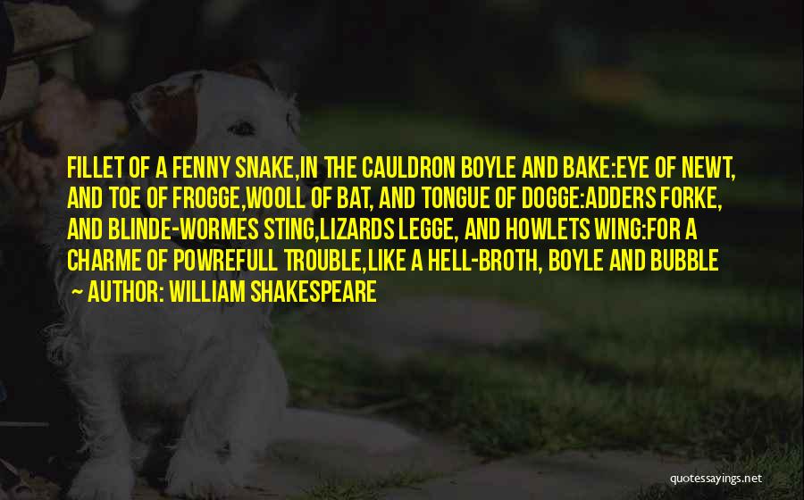 William Shakespeare Quotes: Fillet Of A Fenny Snake,in The Cauldron Boyle And Bake:eye Of Newt, And Toe Of Frogge,wooll Of Bat, And Tongue