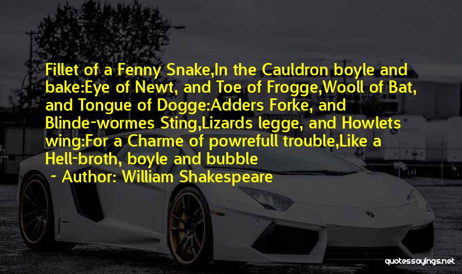 William Shakespeare Quotes: Fillet Of A Fenny Snake,in The Cauldron Boyle And Bake:eye Of Newt, And Toe Of Frogge,wooll Of Bat, And Tongue