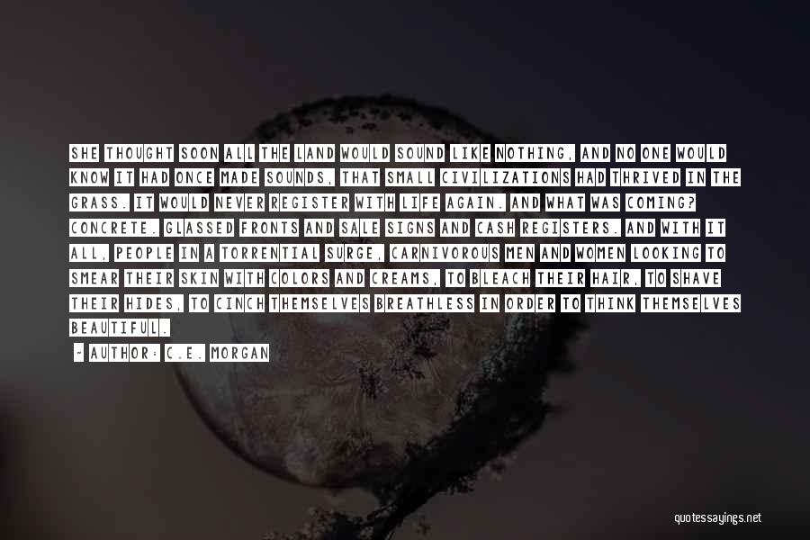 C.E. Morgan Quotes: She Thought Soon All The Land Would Sound Like Nothing, And No One Would Know It Had Once Made Sounds,