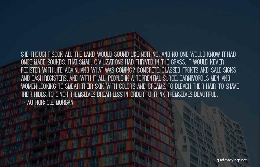 C.E. Morgan Quotes: She Thought Soon All The Land Would Sound Like Nothing, And No One Would Know It Had Once Made Sounds,