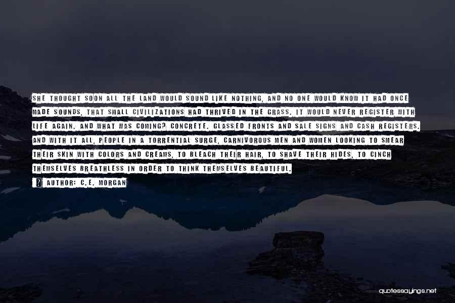 C.E. Morgan Quotes: She Thought Soon All The Land Would Sound Like Nothing, And No One Would Know It Had Once Made Sounds,