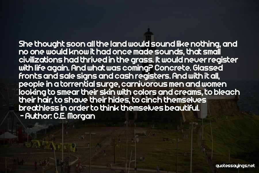 C.E. Morgan Quotes: She Thought Soon All The Land Would Sound Like Nothing, And No One Would Know It Had Once Made Sounds,