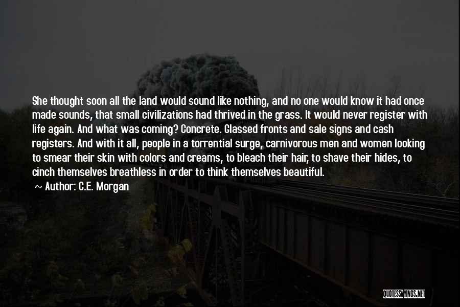 C.E. Morgan Quotes: She Thought Soon All The Land Would Sound Like Nothing, And No One Would Know It Had Once Made Sounds,