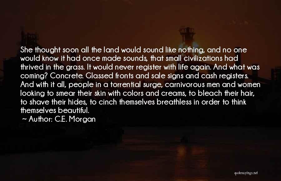 C.E. Morgan Quotes: She Thought Soon All The Land Would Sound Like Nothing, And No One Would Know It Had Once Made Sounds,