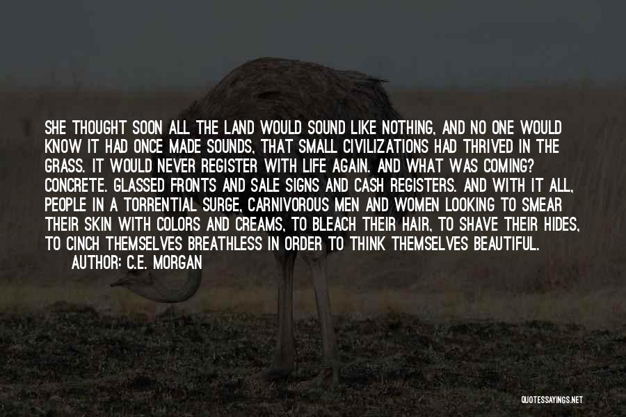 C.E. Morgan Quotes: She Thought Soon All The Land Would Sound Like Nothing, And No One Would Know It Had Once Made Sounds,