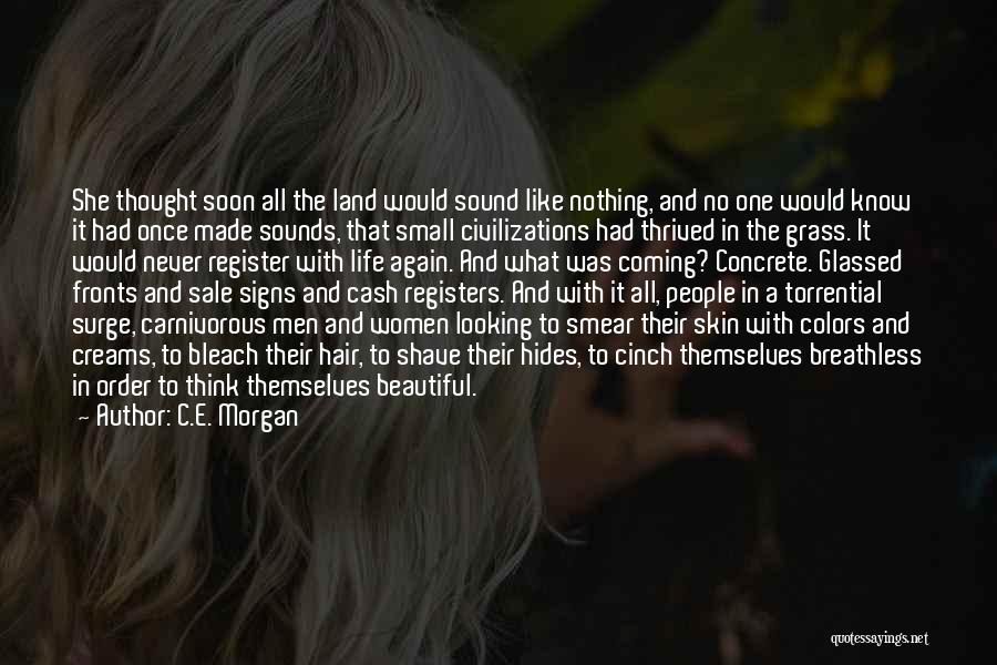 C.E. Morgan Quotes: She Thought Soon All The Land Would Sound Like Nothing, And No One Would Know It Had Once Made Sounds,