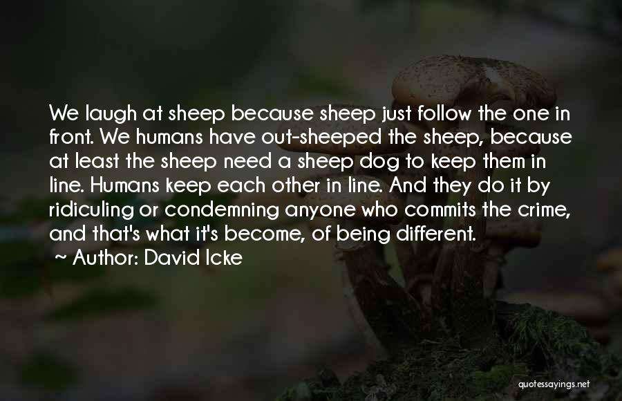 David Icke Quotes: We Laugh At Sheep Because Sheep Just Follow The One In Front. We Humans Have Out-sheeped The Sheep, Because At