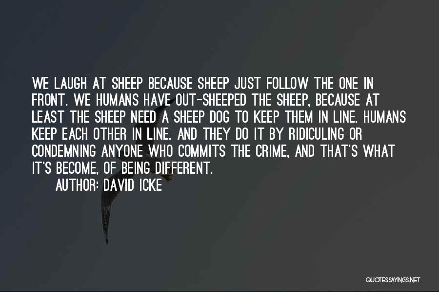 David Icke Quotes: We Laugh At Sheep Because Sheep Just Follow The One In Front. We Humans Have Out-sheeped The Sheep, Because At