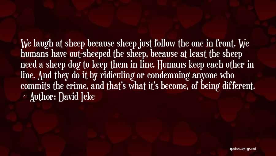David Icke Quotes: We Laugh At Sheep Because Sheep Just Follow The One In Front. We Humans Have Out-sheeped The Sheep, Because At