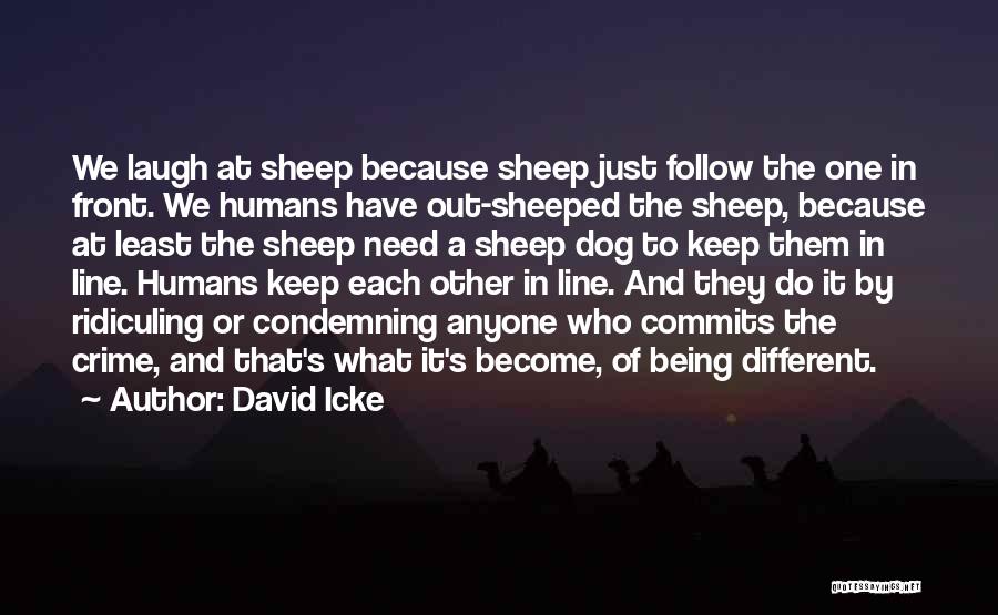 David Icke Quotes: We Laugh At Sheep Because Sheep Just Follow The One In Front. We Humans Have Out-sheeped The Sheep, Because At